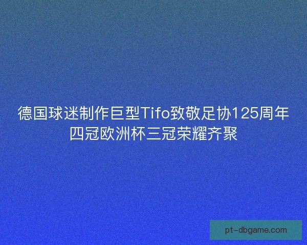 德国球迷制作巨型Tifo致敬足协125周年四冠欧洲杯三冠荣耀齐聚